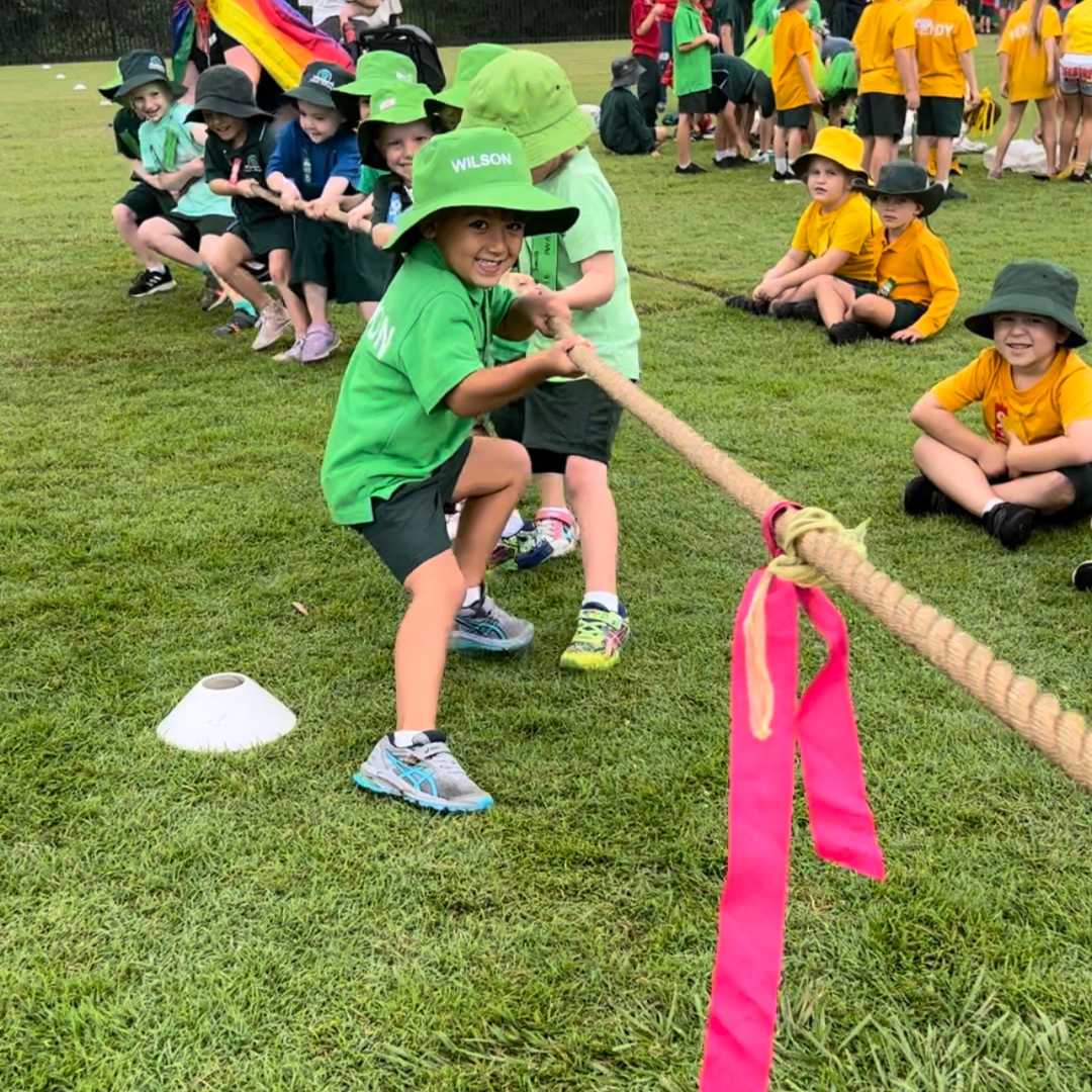 Tug of War hire Sydney — photo 3